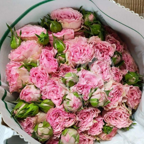 fancy blossoms*